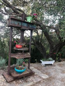 Apagio Othonoi Car Included