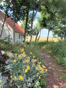 Guesthouse with sauna on Söderslätt
