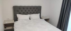 Luxury apartment Adriatic Pearl