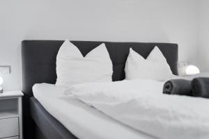 Apartment Bodensee 29 mit Küche und Garten