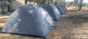 The La Mer Beach Resort