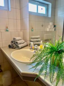 Schwanstetten bei Nürnberg, gemütliches Apartment mit Küche Bad TV