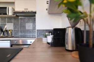 Appartements Joli T2 avec terrasse et Parking : photos des chambres