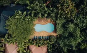 Chanya by Ardhi Africa - Same