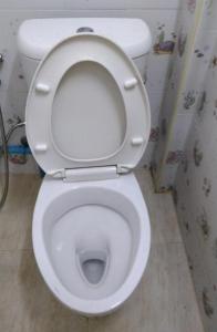 Hostel 24 Backpackers