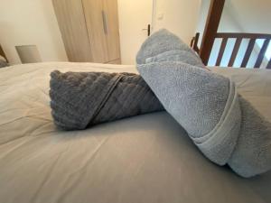 Appartements Cosy pres de la Gare - 366 : photos des chambres