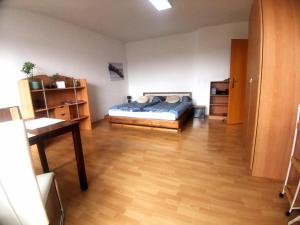 Ferienwohnung Graz City