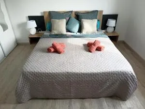 Chambre privée - 蒙泰居