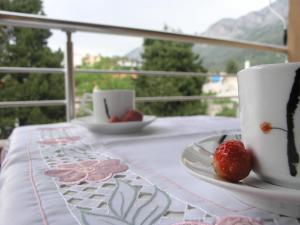 Gesamte Wohnung In Gradac Mit Möbliertem Balkon 