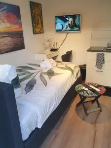 Cozy Garden House kijkduin Beach - Kraaijenstein