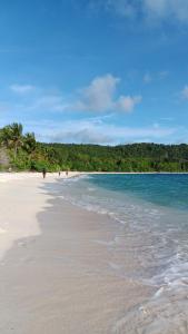 Senjahomestayrajaampat