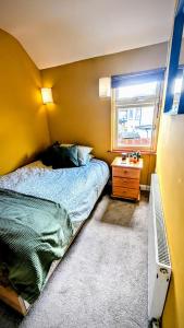 Spacious house in Central Dublin