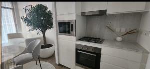 1 bed room and hall apartment