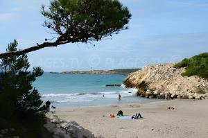 Appartements Sous Le Soleil Des Alpilles : photos des chambres