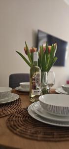 Kamienica Staszica Apartment