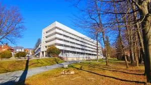 Jubilat - 隆代克-兹德鲁伊