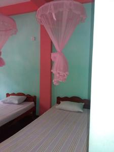 Wellassa holly day in