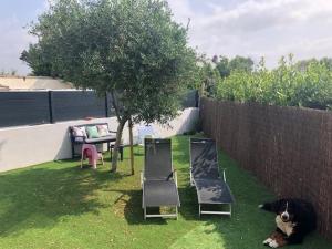 Maisons de vacances Maison face a la Mer : photos des chambres