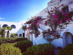 Ferienwohnung Exotic Suite In Pantelleria