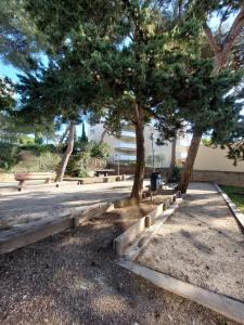 Appartement 1 chambre, parking et piscine