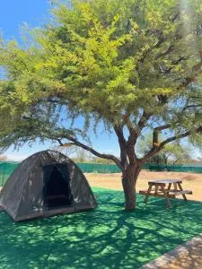 Edenberry Campsite - Rehoboth