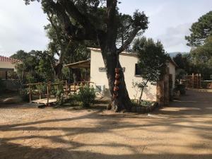 Maisons de vacances L-Accugliente : photos des chambres