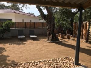Maisons de vacances L-Accugliente : photos des chambres