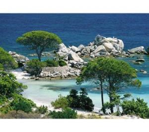Maisons de vacances L-Accugliente : photos des chambres