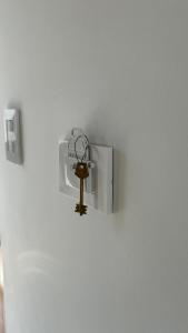 Temporario Alfonso I