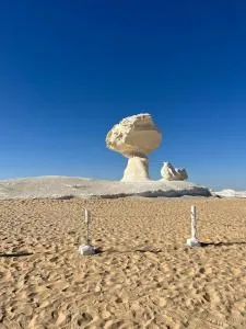 White Desert Safari With Camping - El Hez