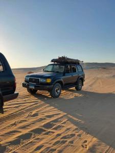 White Desert Safari With Camping