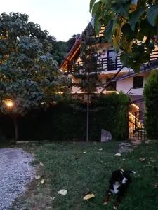 Havva - 卡库拉塔