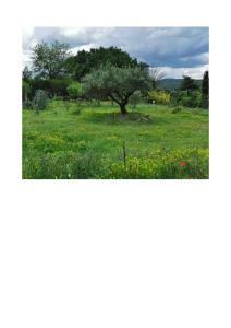 Villas Sunset Ridge house in provence : photos des chambres
