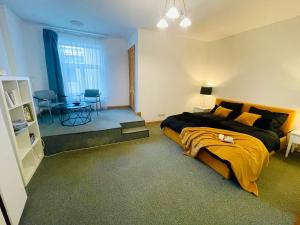 Spacious Apartment in Old Town Riga