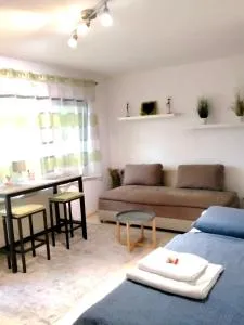 Ruhige und grüne Terassenwohnung - Biebrich