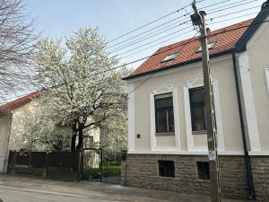 Pelso- Villa- luxury apartment