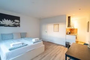 Cozy 2-room apartment with WiFi & SKY - Mülheim-Kärlich