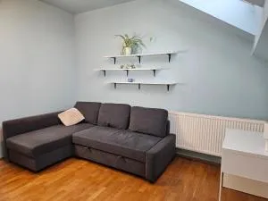 Dom pod Magnolią - 威利兹卡