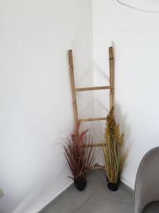 SkyView superior Studios 1