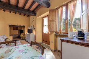 Agriturismo Il Ponte - Frantoio