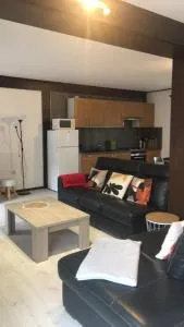 gite au bon accueil - Bourassat