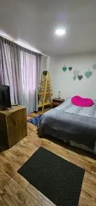 Pieza sencilla Central - Temuco