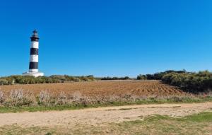 Maisons de vacances Pet Friendly Home In Nere : photos des chambres