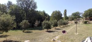 Villas La Sousto Du Lac Sauvage : photos des chambres