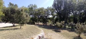 Villas La Sousto Du Lac Sauvage : photos des chambres