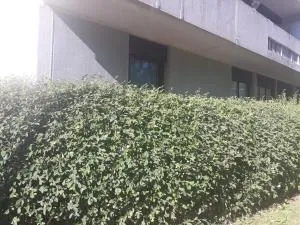 3 Bedroom Apartment - Sleeps 6 - Fontenay-le-Fleury