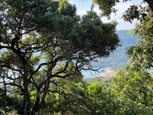 Vacances de rêve à Propriano Grand appartement avec jardin Vue sur le golfe