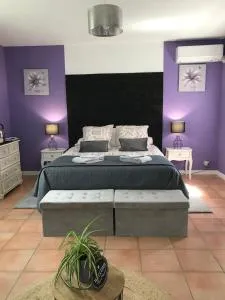 Chambre d'hôte Lavande - Le soleil des Cévennes - 圣让迪加尔