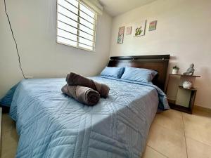 Acogedor y Lujoso Apto Los Cedros