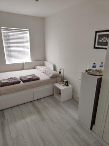 Cozy Room